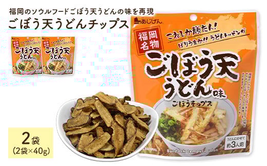 ＜容量が選べる＞ ごぼう天うどんチップス (2袋×40g) 【man311】【味源】