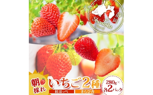0017-106-03 富士宮市産 いちご 2種セット 紅ほっぺ & きらぴ香 各280g×2P 計1120g