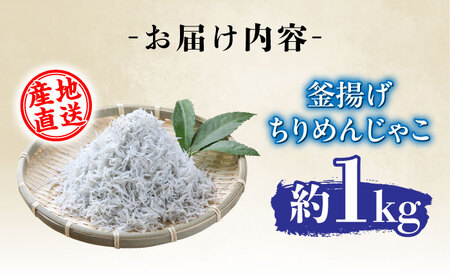 【産地直送】新鮮釜揚げちりめんじゃこ　約1kg＜土居海産＞