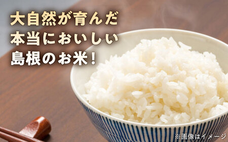 【全12回定期便】松江市産きぬむすめ 10kg 島根県松江市/フジキコーポレーション株式会社[ALDS023]