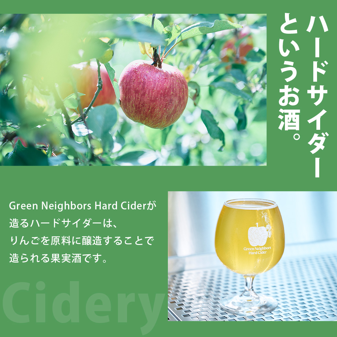 FLAGSHIP 2種 6本 set (DRY / CLEAR) 酸化防止剤無添加 ハードサイダー シードル りんご リンゴ アルコール 酒 セット 果汁100％ Green Neighbors Ha