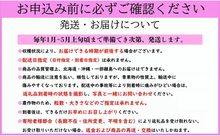いちご やよいひめ 計1kg 【いちご】