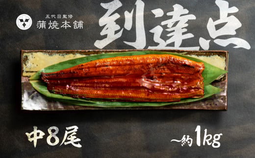 ふっくら肉厚！国産うなぎ 蒲焼 中 8尾 老舗 国産うなぎ セット 詰め合わせ 蒲焼 ウナギ うなぎ unagi 鰻