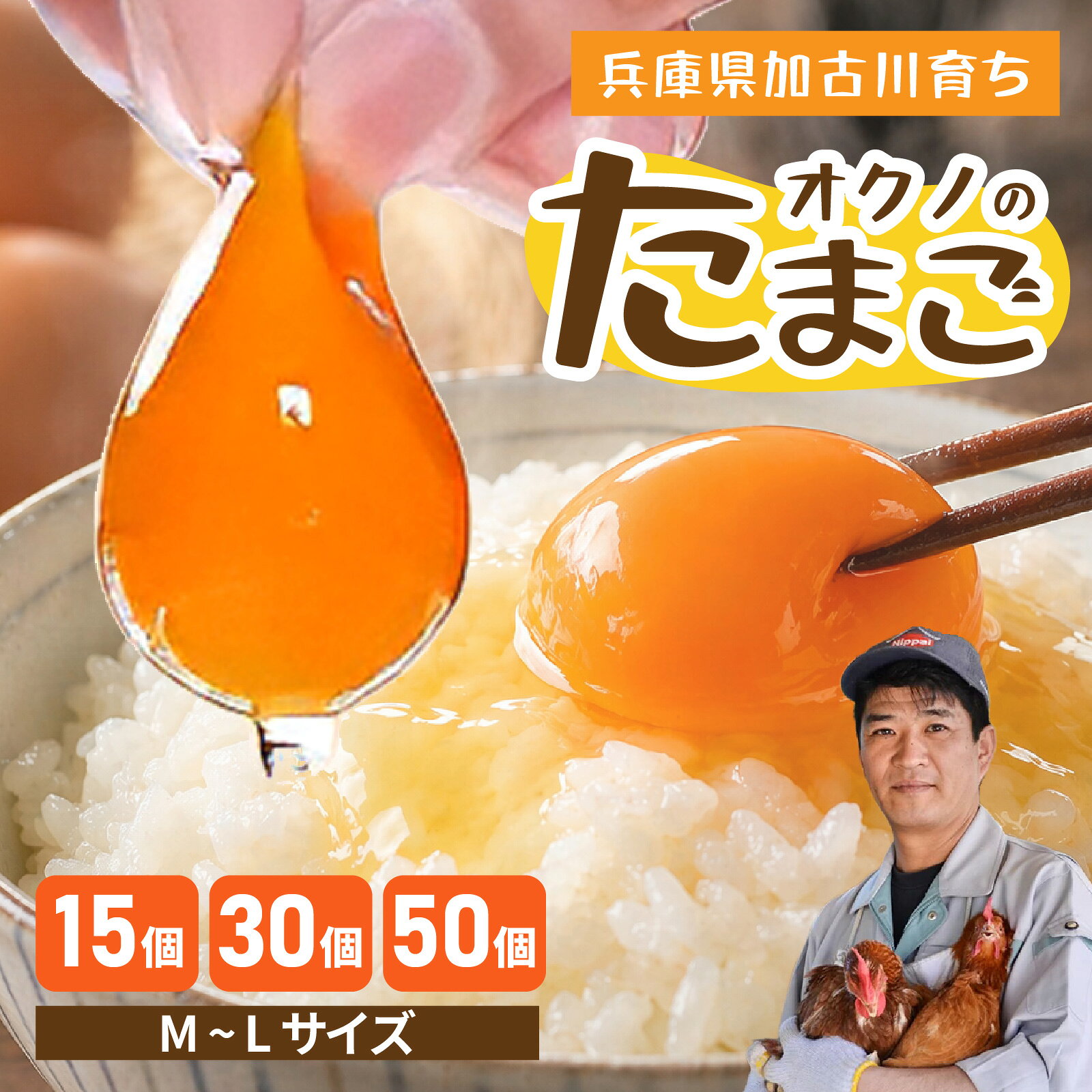 【ふるさと納税】【選べる内容量】 卵 兵庫県加古川育ち こだわり卵 オクノのたまご （15個・30個・50個） / たまご 玉子 卵焼き 玉子焼き たまご焼き 生卵 鶏卵 たまごかけ 国産 兵庫県産 送料無料