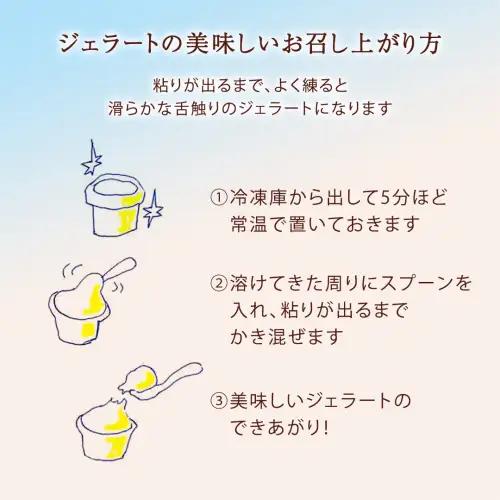 ジェラート 12個セット 食べ比べ 大地の恵み ジェラート