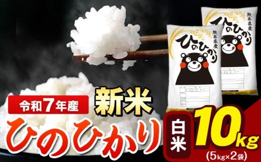 新米 令和7年産 ひのひかり 白米 10kg 《12月中旬-2月末頃出荷》 5kg×2袋 熊本県産（荒尾市産含む） 米 精米 ひの