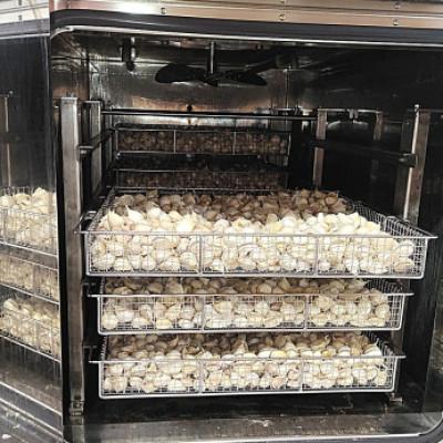 ふるさと納税 上富良野町 富良野ブラックガーリック(黒にんにく) 400g×2パック |  | 01