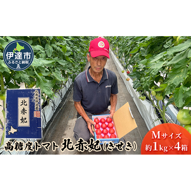 【2025年 発送 】 先行予約 北海道 伊達市 高糖度 トマト 北赤妃 きせき 約1kg  4箱 Mサイズ 計4kg とまと 新鮮 ジューシー 産地直送
