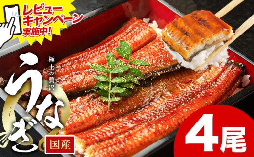レビューキャンペーン実施中！ うなぎ 鰻 ご家庭用  4尾 (サイズ不選別：1尾当たり140g-180g) 福岡県産 鰻の蒲焼き 数量限定 株式会社HOMIE《11月上旬-11月末頃出荷》福岡県 鞍手郡 鞍手町 鰻 蒲焼き 数量限定 国産 蒲焼 うなぎ蒲焼