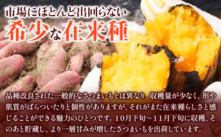 和歌山県のサツマイモ 小さめ サイズ 5kg みはらファーム さつまいも