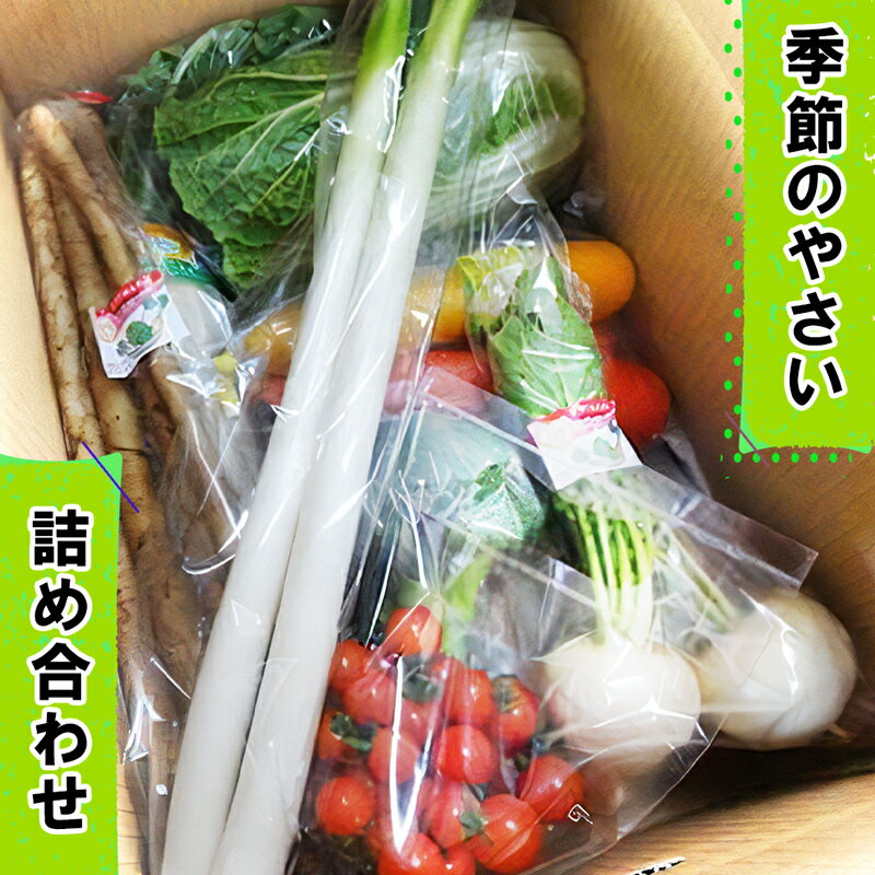 【ふるさと納税】袖ケ浦の大地の恵み 季節のやさい詰め合わせ｜野菜 直送 [0038]