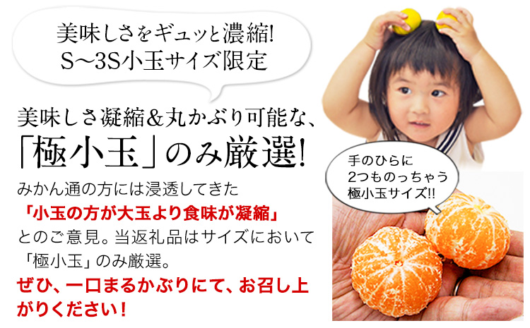 訳あり みかん くまもと小玉みかん 5kg (2.5kg×2箱)  フルーツ 柑橘 小玉 《9月中旬-10月下旬頃出荷》---fn_nkomikan_k9_24_5500_5kg---