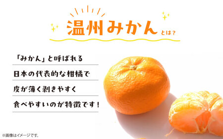愛媛県産 温州みかんジュース＆まどんなジュース2本セット（720ml×各1本）　愛媛県大洲市/峯田農園[AGBT025]