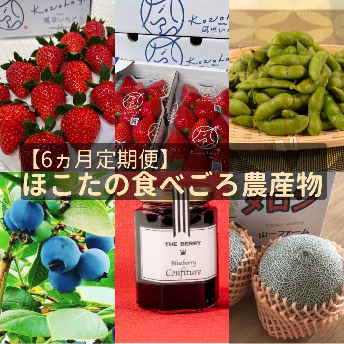 【ふるさと納税】【6ヵ月定期便】ほこたの食べごろ農産物（いちご／いちご／ブルーベリー／メロン／枝豆／ブルーベリージャム）