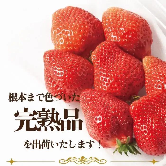 【2027年1月～2月出荷予定】完熟 あまおう イチゴ 280g×4パック(約1120g)＜配送不可：北海道、沖縄県、離島＞