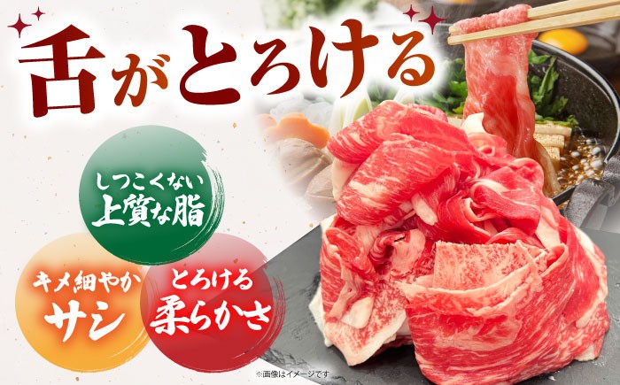 佐賀牛切り落とし 1kg（500ｇ×2パック）切落とし 切り落し 牛肉 和牛 黒毛和牛 小分け 冷凍 きりおとし 佐賀 佐賀県