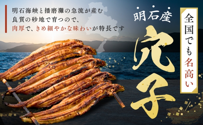 特選明石産炭焼き穴子（タレ4個付き） うなぎ 鰻 魚貝類 加工食品 