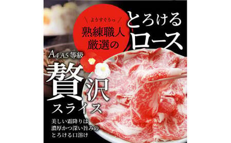 しゃぶまる特製　A4,A5等級　黒毛和牛　とろける　ロース　スライス　贅沢霜降り　9kg_mk146-090