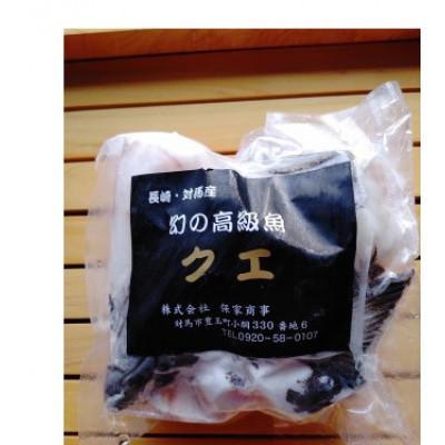 ふるさと納税 対馬市 長崎県対馬産　幻の高級魚クエ500g |  | 01
