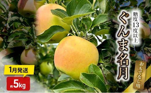 
                  りんご【1月発送】糖度13度以上 ぐんま名月 おもてなし用 家庭用 約5kg【青森りんご】
                