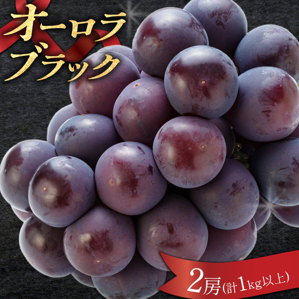 【ふるさと納税】岡山県産 オーロラブラック 2房(計1kg以上) 環山堂株式会社《7月中旬-8月上旬頃出荷》岡山県 浅口市 ぶどう ブドウ 葡萄 果物 フルーツ 送料無料