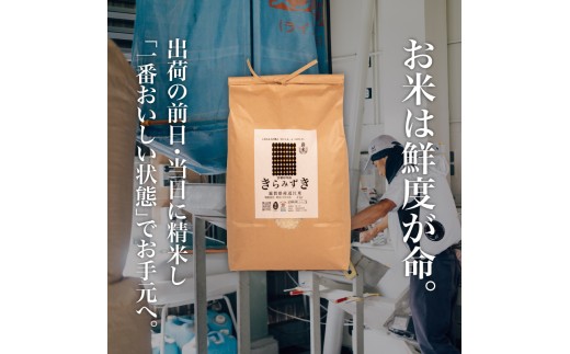 【 令和8年産 新米 】 きらみずき 5kg 白米 玄米 化学肥料不使用 環境こだわり米 特別栽培米 国産 滋賀県 日野町 農家直送 米 産地直送 ふるさと納税