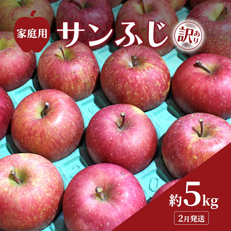 【ふるさと納税】2月発送 家庭用 訳あり サンふじ 約 5kg りんご リンゴ 林檎 果物 フルーツ わけあり 青森　お届け：2026年2月1日～2026年2月25日