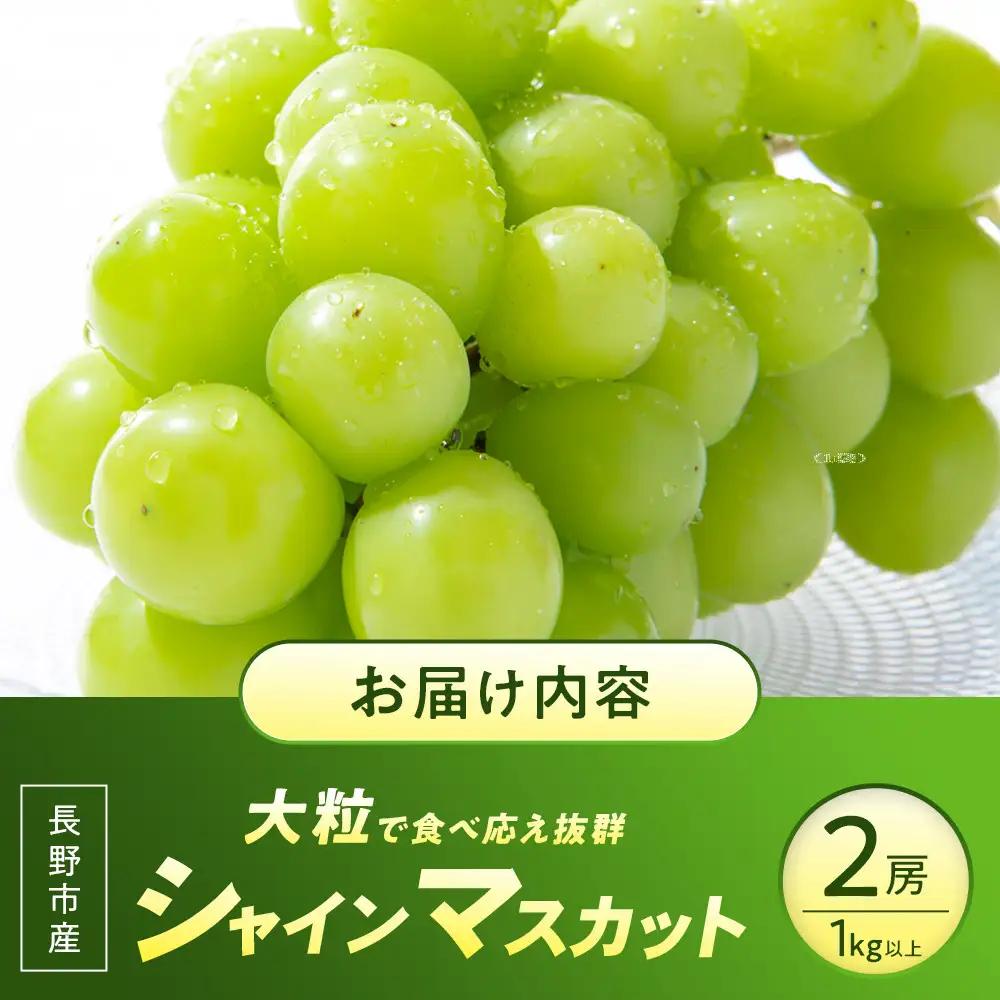 【大粒2房】長野市産シャインマスカット約1kg 以上【2026年9月中旬以降出荷分】(さらしな青果) | シャインマスカット 