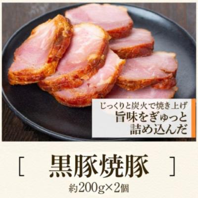 ふるさと納税 肝付町 黒豚焼豚(2個)&黒豚餃子(12個入×5パック)セット　A02048 |  | 01