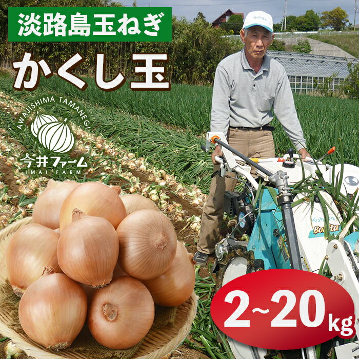 【ふるさと納税】今井ファームの淡路島たまねぎ「かくし玉」 2kg〜20kg　玉ねぎ オニオン 淡路島産 玉葱