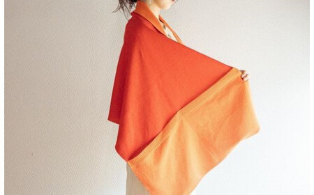 ストール CLEMATIS リバーシブル和紙ストール ( 折り返しポケット・レッド ) レディース | 大判 ストール リバーシブル 和紙 おしゃれ シンプル マフラー 春夏 春 夏 新潟県 五泉市 