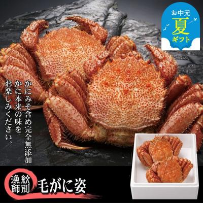 ふるさと納税 紋別市 【お中元】【北海道産】毛がに姿 2尾計約1.0kg　【無添加】 |かに 毛がに 高品質