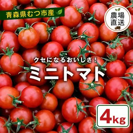 むつ市産　寅福菜園の「ミニトマト」4㎏