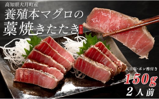 養殖本マグロ 藁焼きたたき 中トロ 150g｜天日塩 15g ぽん酢 1本 冷凍 お届け日指定可 本マグロ まぐろ マグロ 鮪 黒潮本まぐろ ぽん酢 かつお カツオ 鰹 たたき 鰹のたたき タタキ 真空 田野屋銀象 産地直送 高知県 大月町