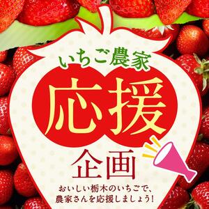 【年内発送】初摘みとちあいか 500g以上| いちご とちあいか 大粒 新鮮 甘い 数量 限定 美味しい 果物 共通返礼品 フルーツ デザート 栃木県 送料無料