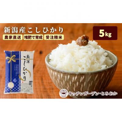 ふるさと納税 新潟市 堆肥で育てた 新潟産 こしひかり 5kg [54070806]