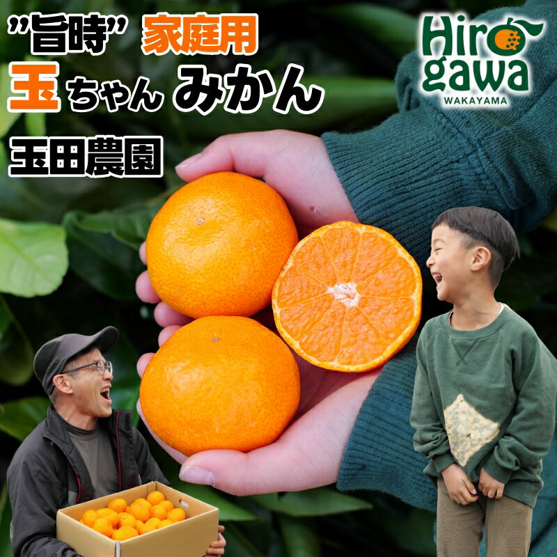 【ふるさと納税】 有田みかん 旨時 体に優しい玉ちゃんみかん / 温州みかん みかん 甘い 和歌山 柑橘 2kg 5kg 10kg 7000円 ※12月初旬～翌年2月中旬に順次発送 //mandarin