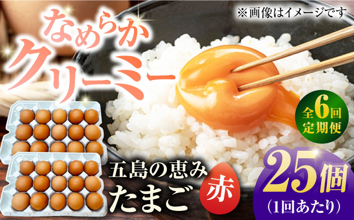 【6回定期便】【お得な箱入り】五島の恵みたまご M～Lサイズ 30個入 / 卵 赤玉子 五島市 / 五島列島大石養鶏場 [PFQ046]