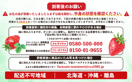 宮城県産いちご「にこにこベリー」　約500ｇ（250ｇ×2）【57001】
