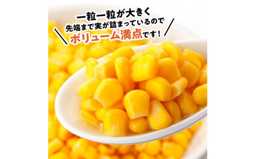 【令和8年発送】宮崎県産とうもろこし　スイートコーン「ゴールドラッシュ」2L×4本【新鮮 農家直送 トウモロコシ 産地直送 季節限定 期間限定 宮崎県産 九州産】 [C09106]