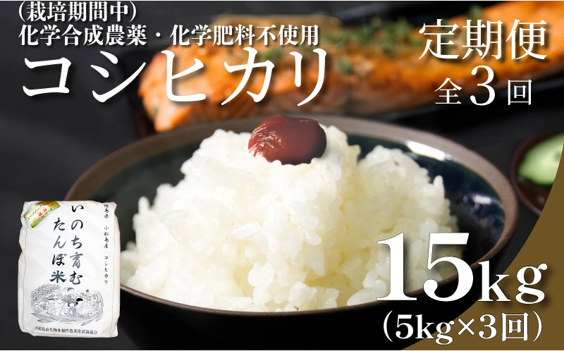 
                  【令和7年産】 定期便 3回  米 コシヒカリ 計15kg 5kg × 3回 白米 お米 おこめ こめ 精米 ごはん 国産 限定 白飯 ご飯 精米したて ふるさと ランキング おいしい TKG 卵かけご飯 おにぎり おむすび 化学合成農薬不使用 いのち育む田んぼ米 生物多様性 送料無料 【北海道･東北･沖縄･離島への配送不可】  5キロ ５キロ 徳島県 小松島市   
                