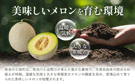 メロン 七城メロン Green＆Gold セット 肥後グリーン 1玉 キンショーメロン 2玉 ～ 3玉 2種類 MOTOYAMA358FARM 《2026年5月中旬-6月下旬頃出荷》 熊本県 菊池市 