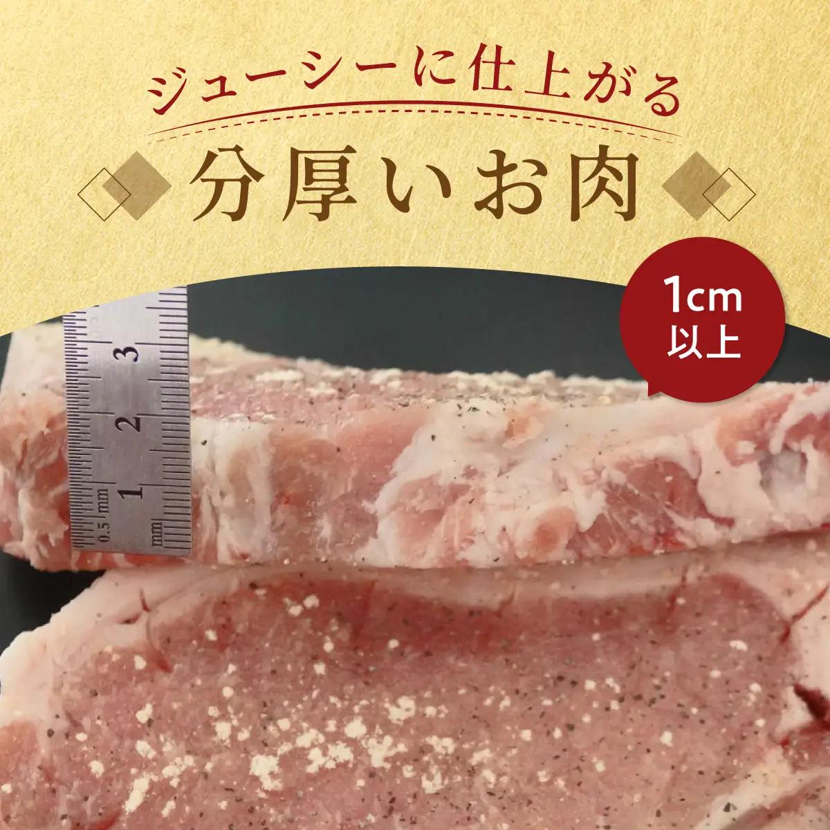 【3ヶ月定期便】カネカン竹内　ポークチャップ（懐かしの特製デミソース付）200g×10枚 MROA128