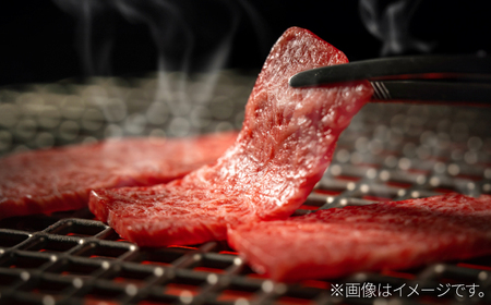 A5 佐賀牛 焼肉用モモ 計600g（200g×3パック） / 佐賀県 / 株式会社ナチュラルフーズ [41AFAB029]