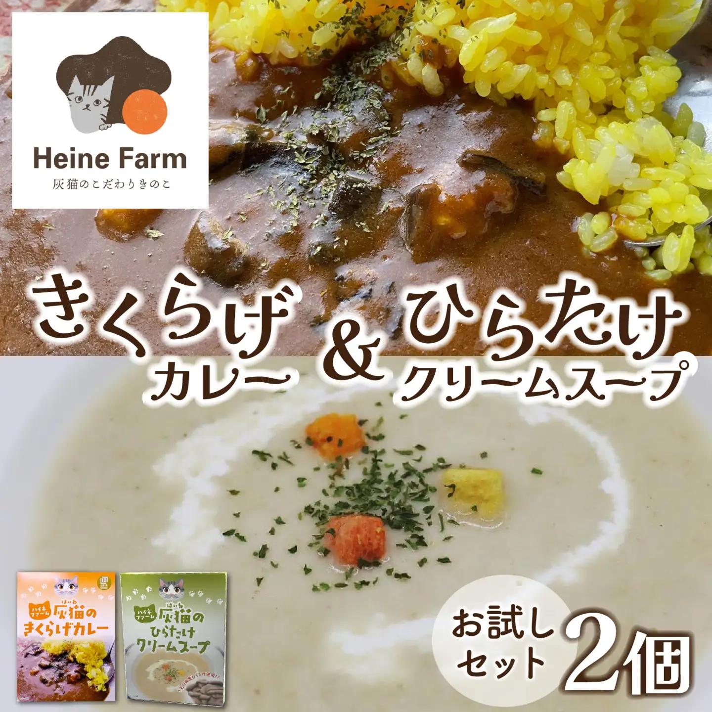 灰猫のきくらげカレー&ひらたけクリームスープのお試しセット