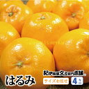 【ふるさと納税】はるみ 約4kg/サイズおまかせ　※2025年1月下旬〜3月中旬頃に順次発送予定(お届け日指定不可)　紀伊国屋文左衛門本舗