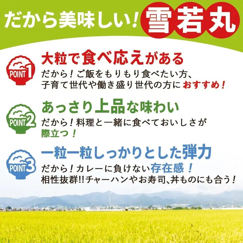 雪若丸 定期便 ( 5kg × 2袋 ) 12回 お届け 米 精米 山形