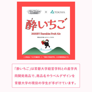 【ジャパン・グレートビア・アワーズ2026 銀賞受賞】【数量限定】【ぬりや】クラフトビール 酔いちご（2025BY）330ml5本セット(GW-14)