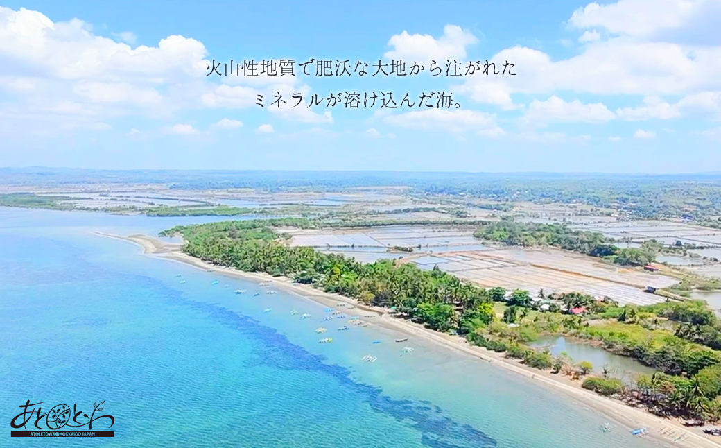 豊浦町の塩蔵で2年間以上寝かせた高級塩　天日結晶化塩　あとれとわの塩 塩蔵静置2年　80g× 5袋 