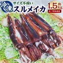 【ふるさと納税】スルメイカ（冷凍）たっぷり約1.5kg 4～10杯程度 サイズ不揃い するめいか いか イカ 刺身 刺し身 お刺身 焼きもの 揚げ物 海鮮 魚介 高鮮度3D凍結 【配送不可地域：離島】【1318898】兵庫県 新温泉町 送料無料